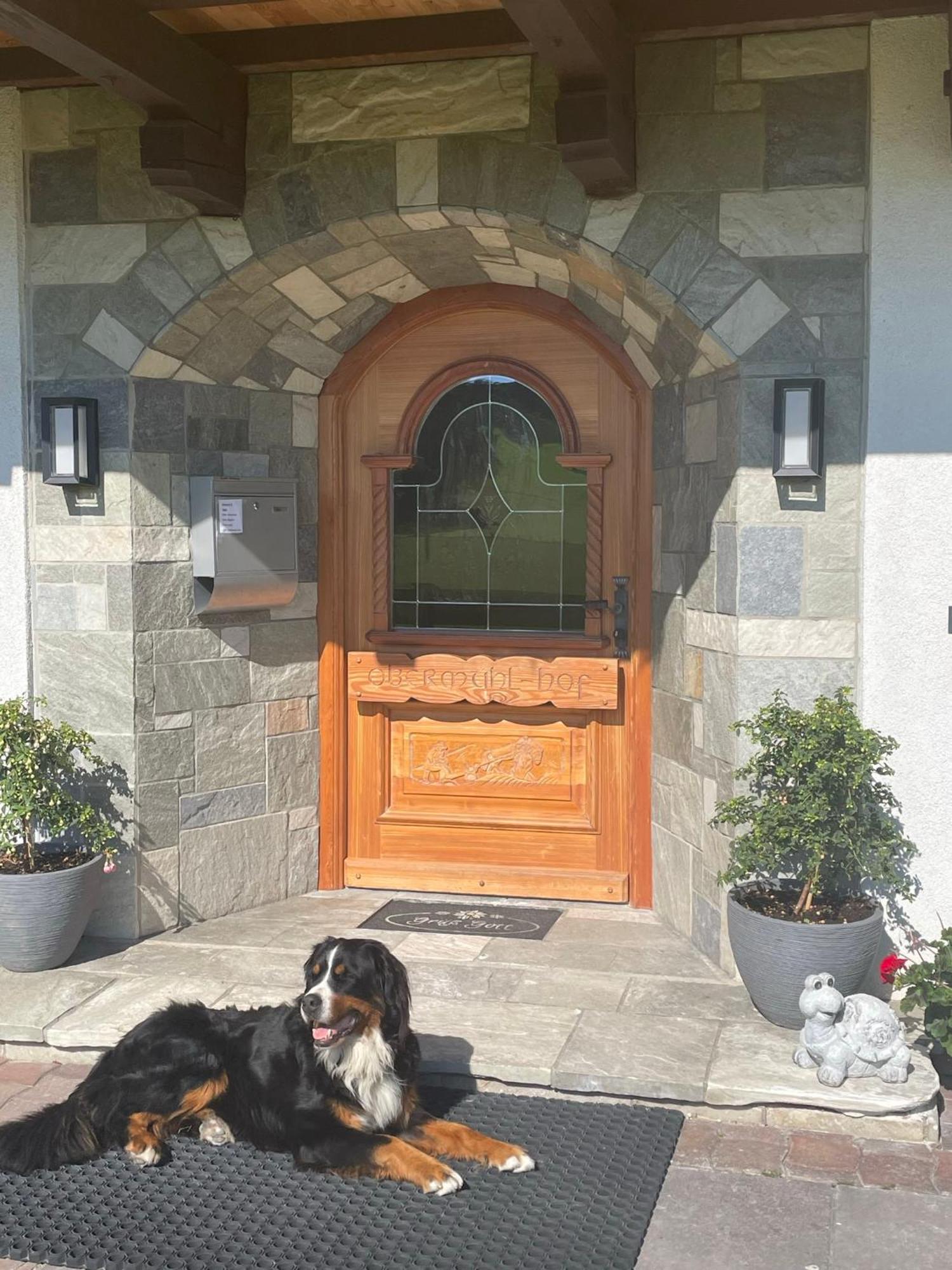 Obermuehlhof Appartement Saalfelden Buitenkant foto